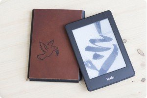 Husa Kindle